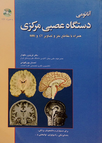 عکس آناتومی دستگاه عصبی مرکزی